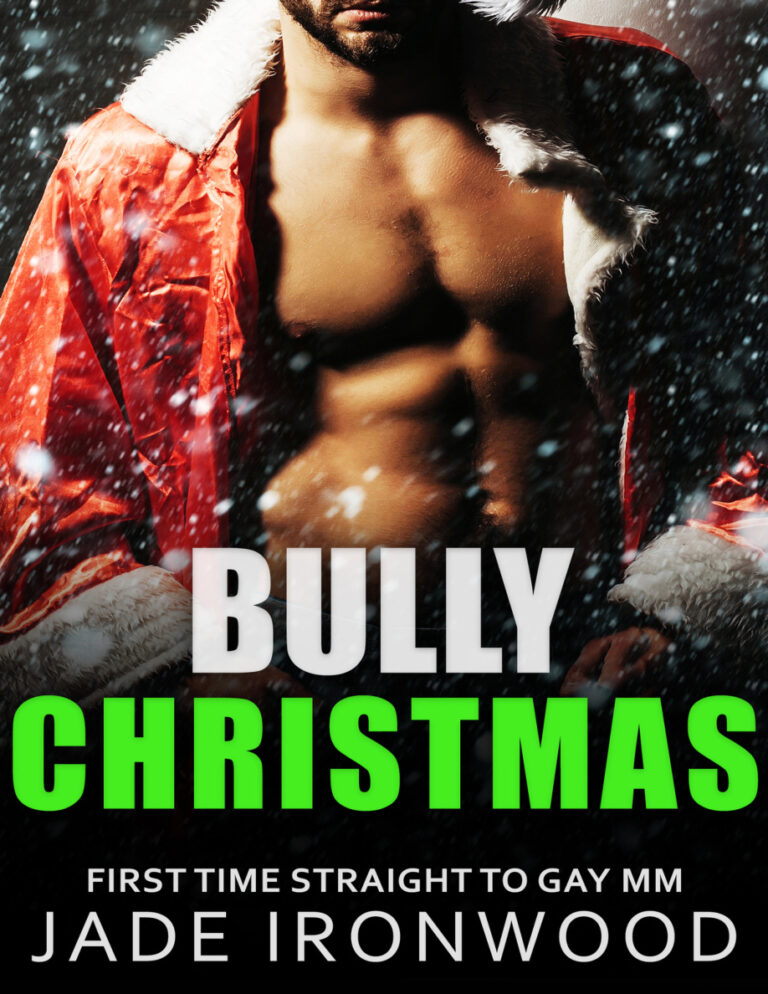 Bully Christmas Jade Ironwood Kitap Kapağı