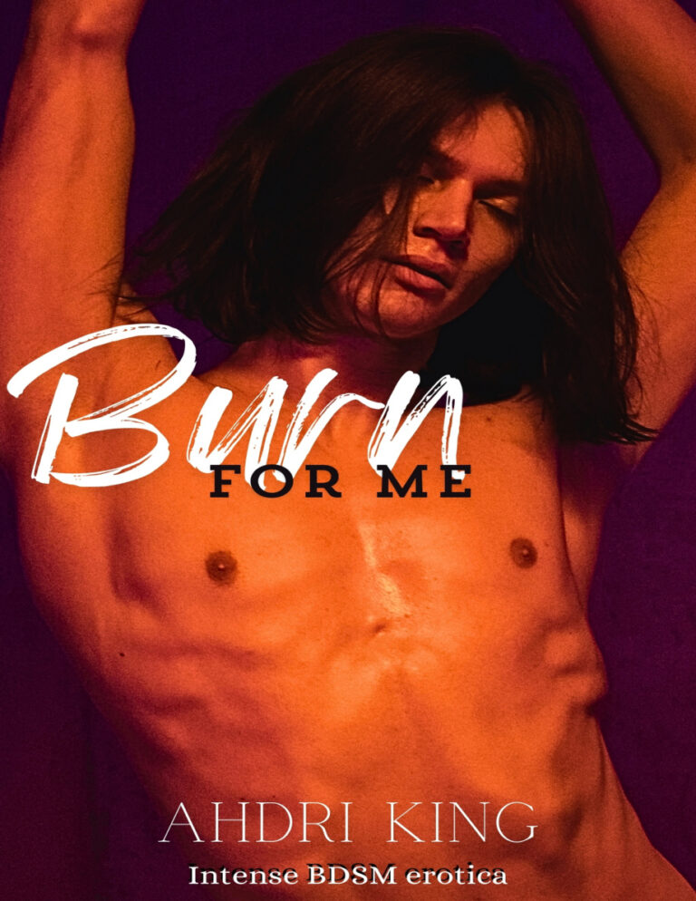 Burn for me Ahdri king Kitap Kapağı