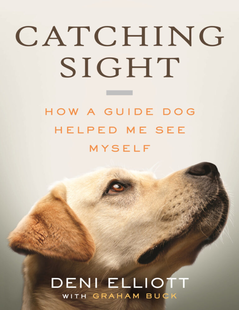 Catching Sight Deni Elliott Kitap Kapağı