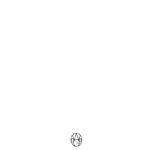 Cents Frequenz Periode German Edition Hans Peter Reinecke Kitap Kapağı