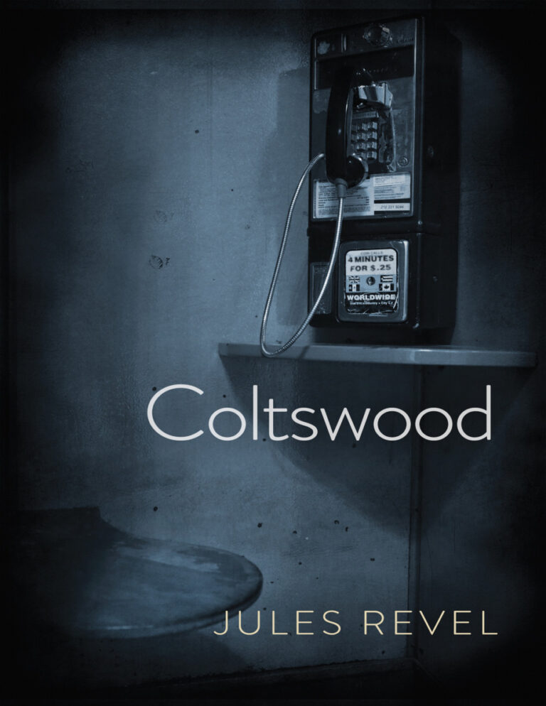 Coltswood Jules Revel Kitap Kapağı
