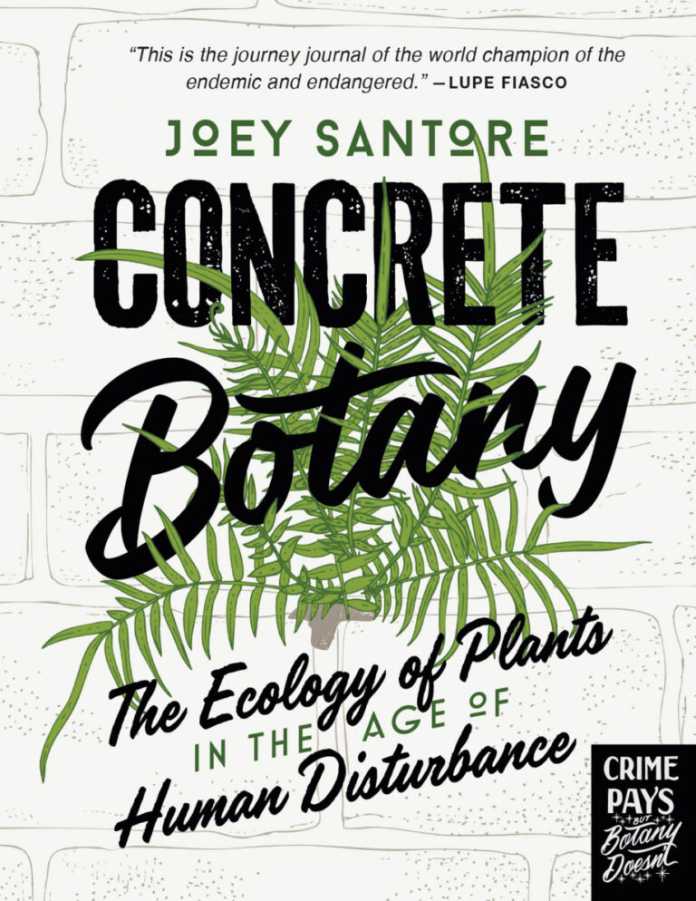 Concrete Botany Joey Santore Kitap Kapağı