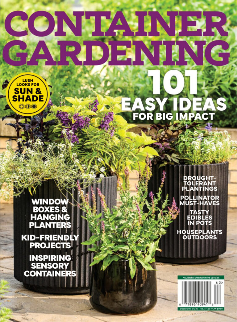 Container Gardening 101 Easy Ideas for Big Impact 2026 Container Gardening Kitap Kapağı