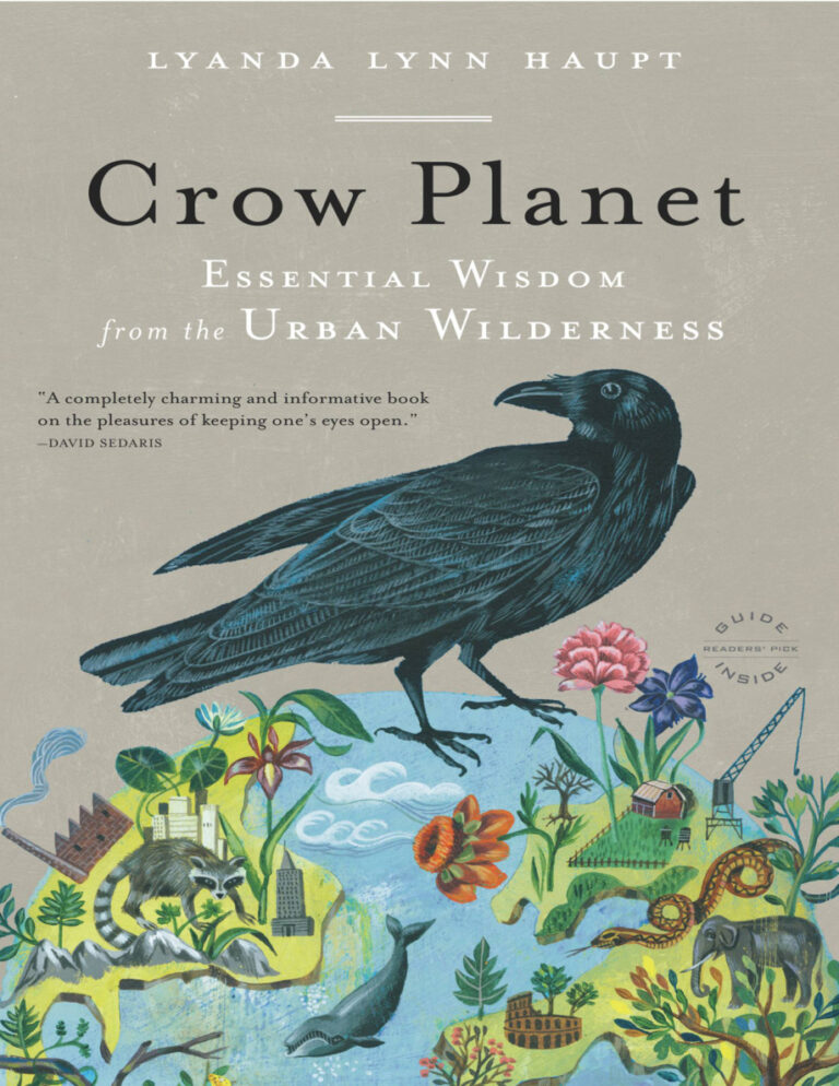 Crow Planet Lynn Haupt Kitap Kapağı