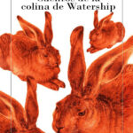Cuentos de la colina de Watership Spanish Edition Richard Adams Kitap Kapağı