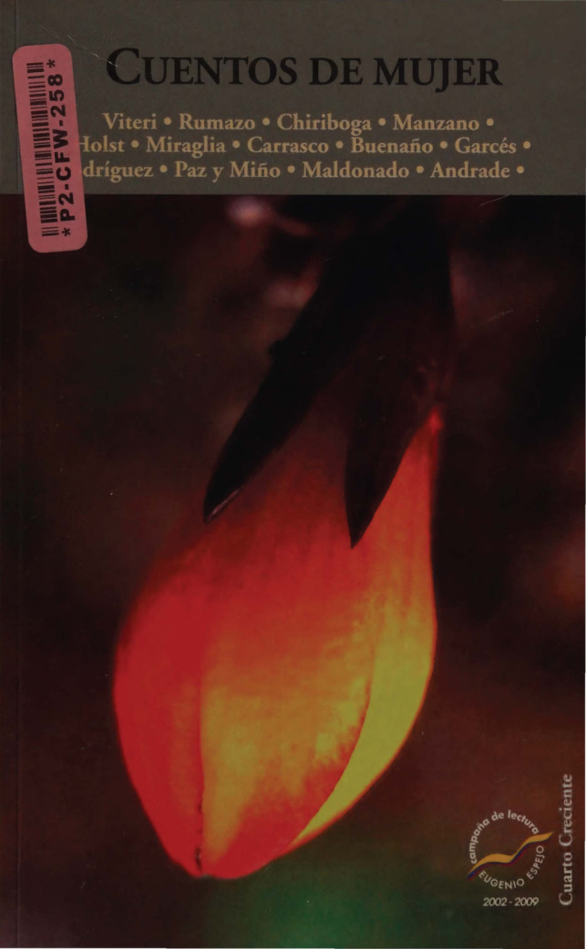 Cuentos de mujer PDF Download