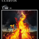 Cuervos Spanish Edition John Connolly Kitap Kapağı