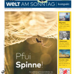 DIE WELT am Sonntag 03 August 2023 GER DIE WELT am Sonntag Kitap Kapağı
