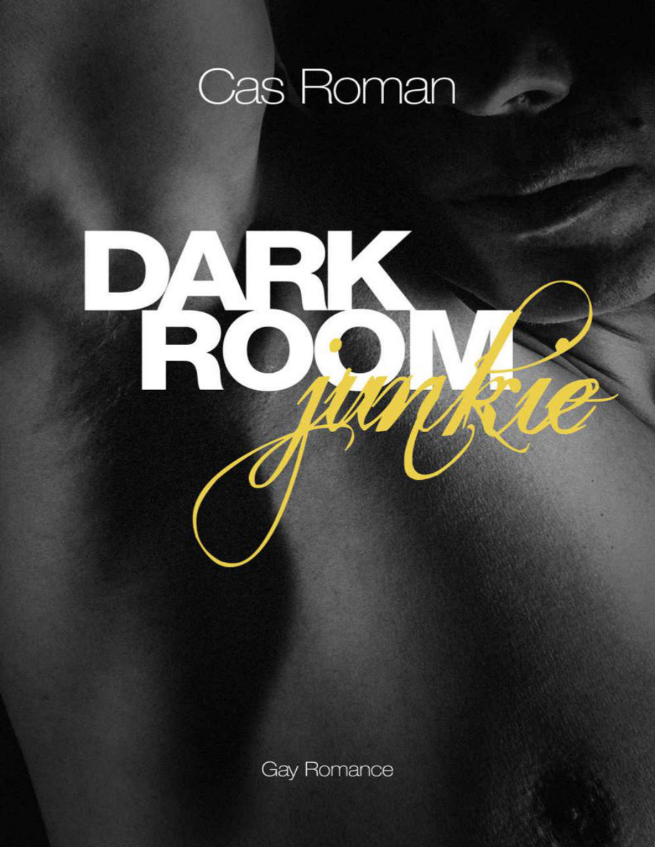 Dark Room Junkie PDF Download