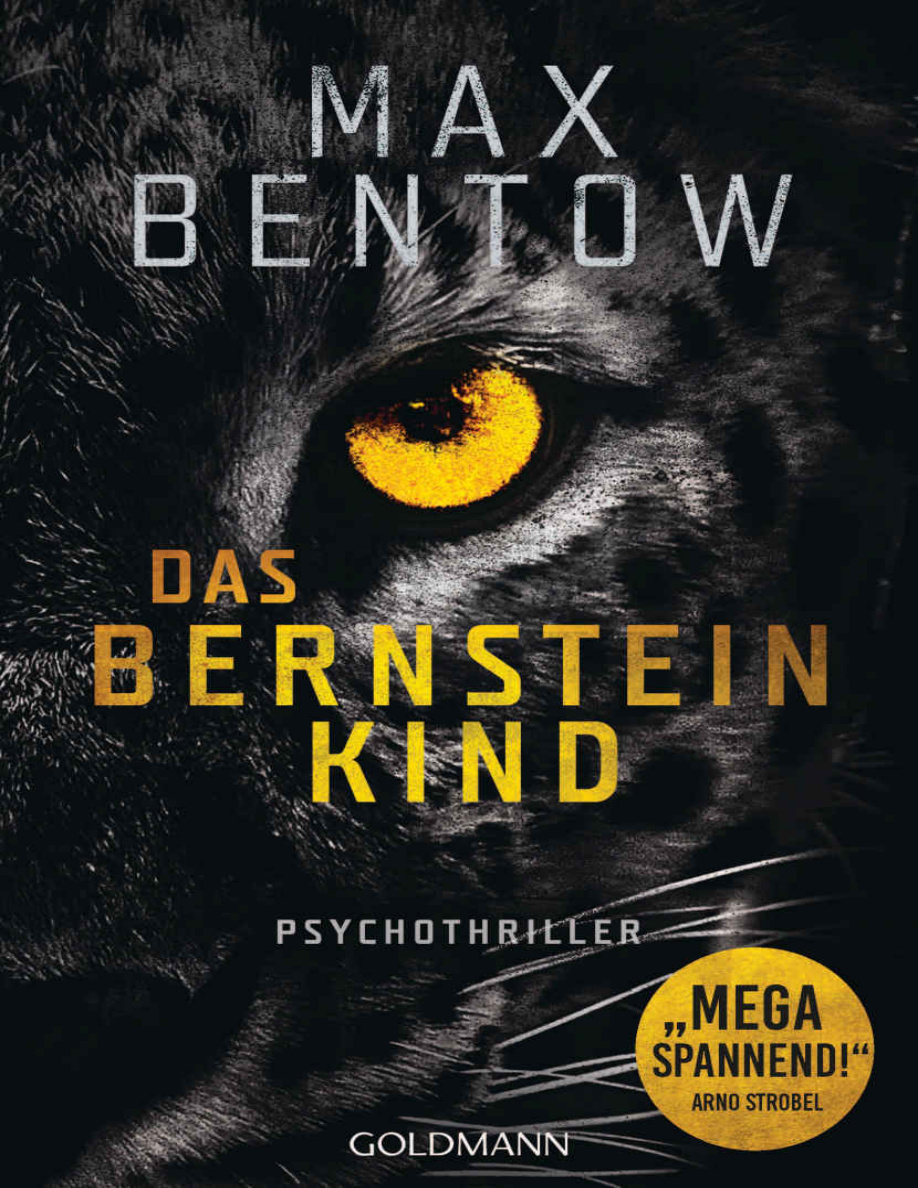 Das Bernsteinkind PDF Download