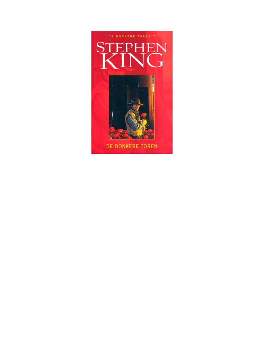 De donkere toren 7 Dutch Edition stephen King Kitap Kapağı