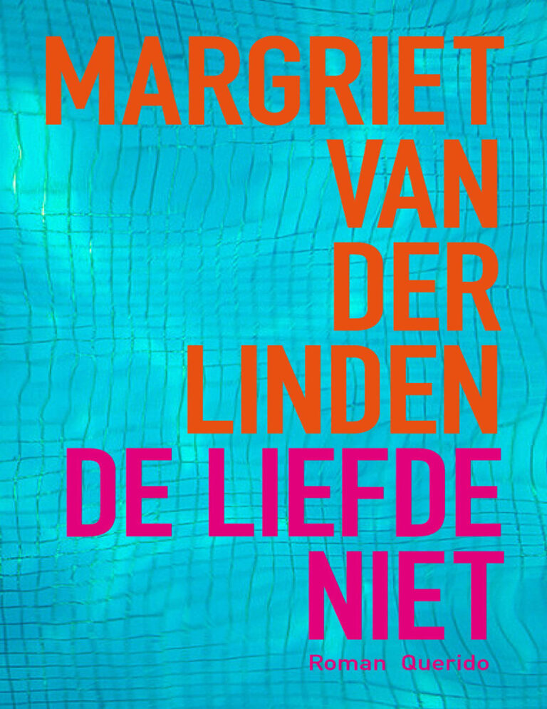 De liefde niet Dutch Edition Margriet van der Linden Kitap Kapağı
