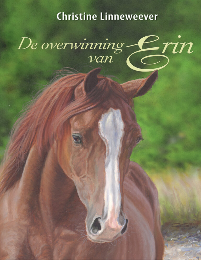 De overwinning van erin German Edition Christine linneweever Kitap Kapağı