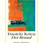 Der Brand German Edition Daniela Krien Kitap Kapağı