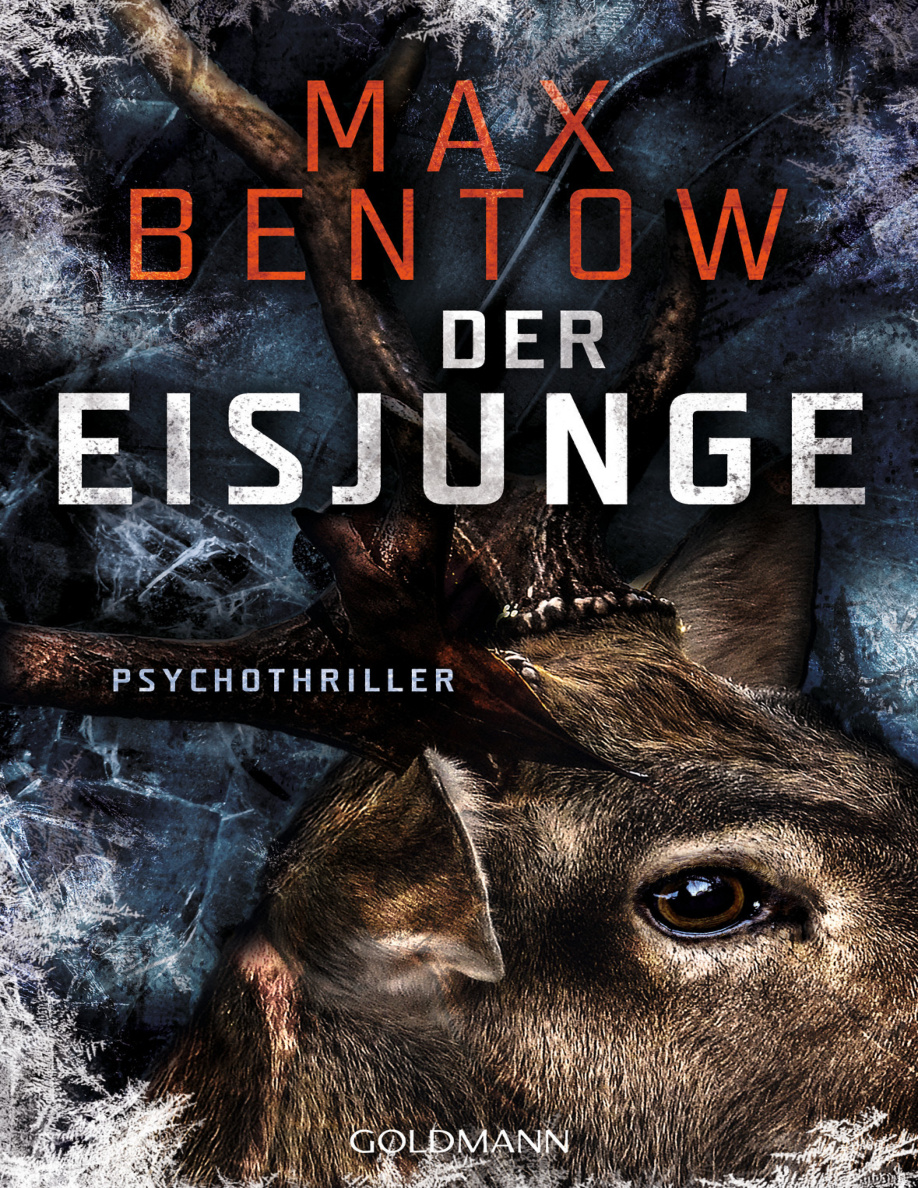 Der Eisjunge PDF Download