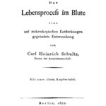 Der Lebensprozess im Blute German Edition Carl Heinrich Schultz Kitap Kapağı
