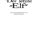 Der Letzte Elf German Edition Silvana DeMari Kitap Kapağı