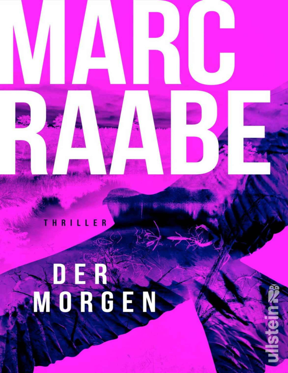 Der Morgen PDF Download