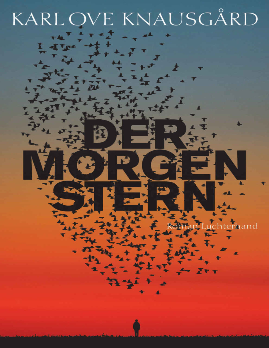 Der Morgenstern PDF Download