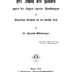 Der Schutz des Kindes gegen die Folgen eigener Handlungen im Burgerlichen Gesetzbuch fur das Deutsche Reich German Edition Heinri Kitap Kapağı