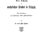Der Schutz unehelichen Kinder in Leipzig German Edition Max Taube Kitap Kapağı
