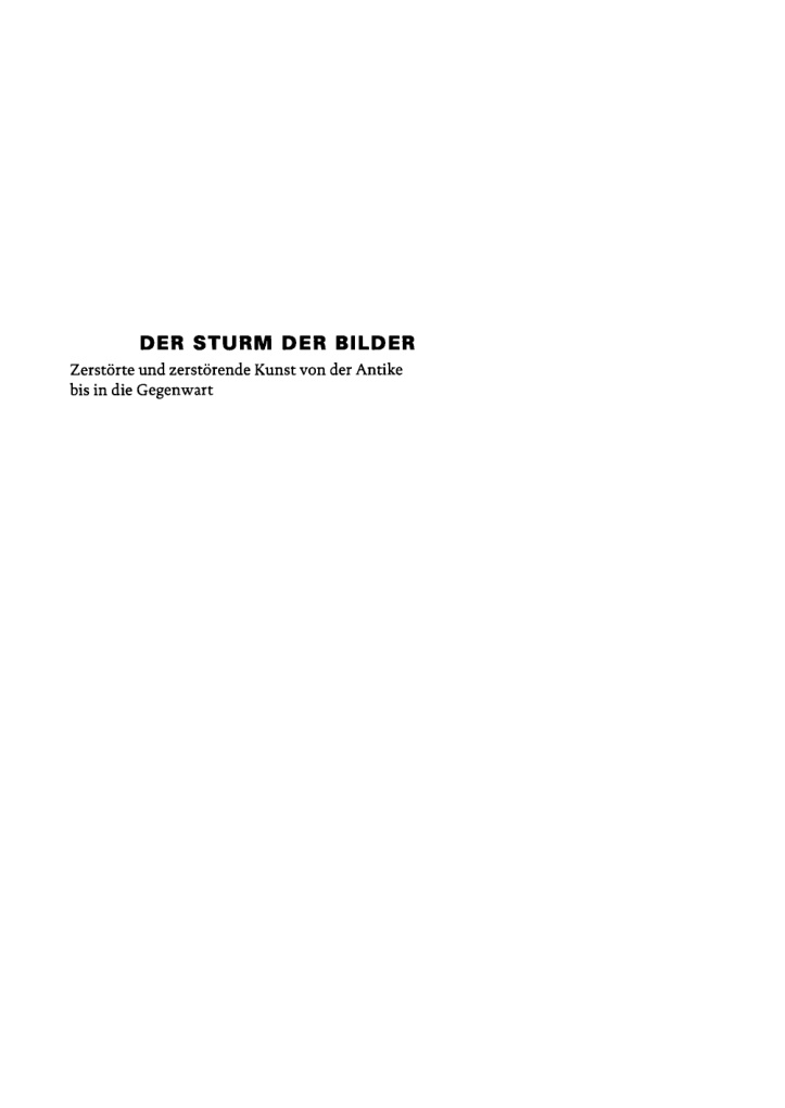 Der Sturm der Bilder PDF Download