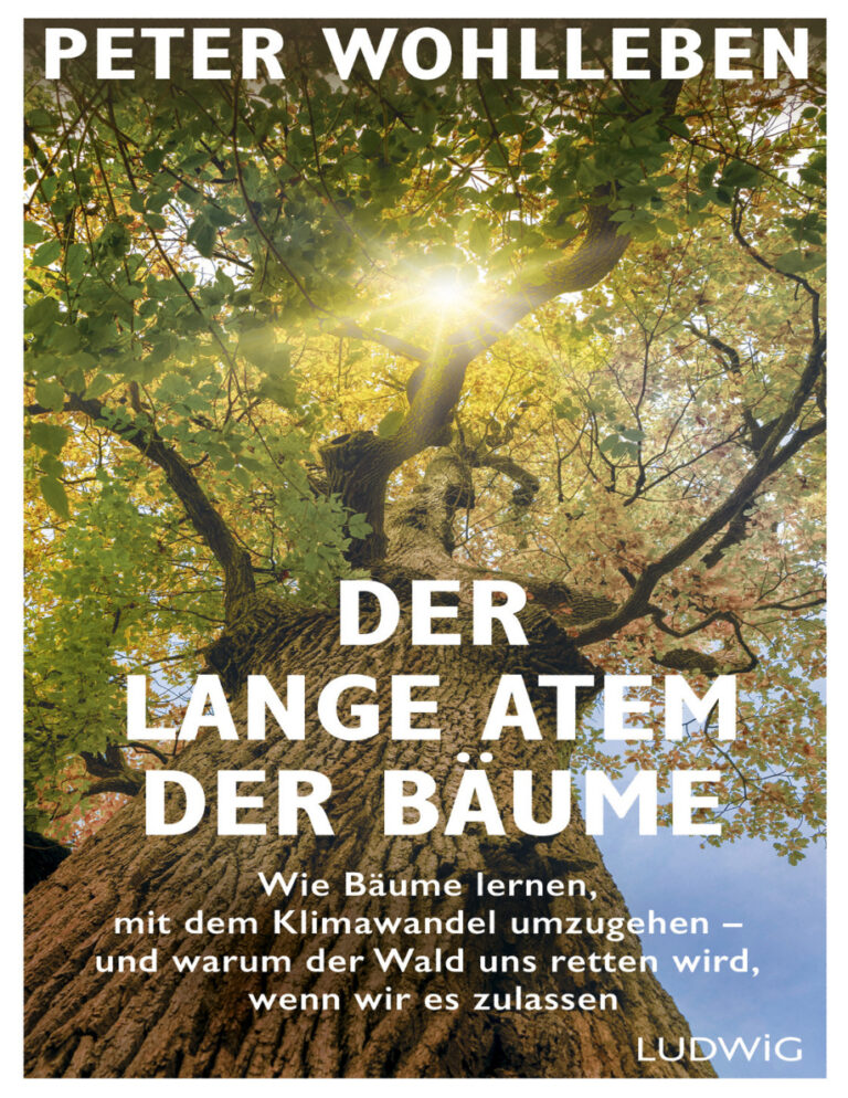 Der lange Atem der Baume Peter Wohlleben Kitap Kapağı