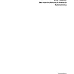 Der transversalhistorische Roman in Lateinamerika German Edition Rene Ceballos Kitap Kapağı