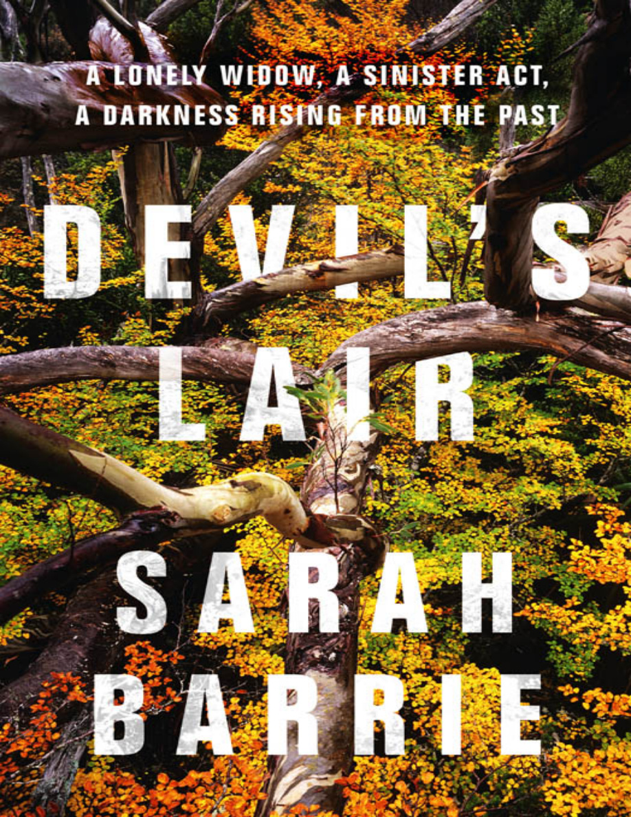 Devils Lair Sarah Barrie Kitap Kapağı