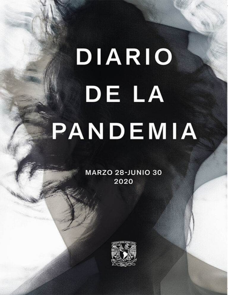 Diario de la pandemia Spanish Edition Rachele Airoldi Kitap Kapağı