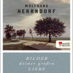 Die Bilder deiner grossen Liebe German Edition Wolfgang Herrendorf Kitap Kapağı