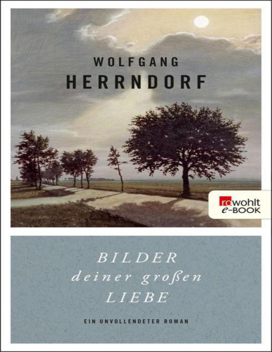 Die Bilder deiner großen Liebe PDF Download