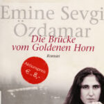 Die Brucke vom Goldenen Horn German Edition Emine Sevgi Ozdamar Kitap Kapağı