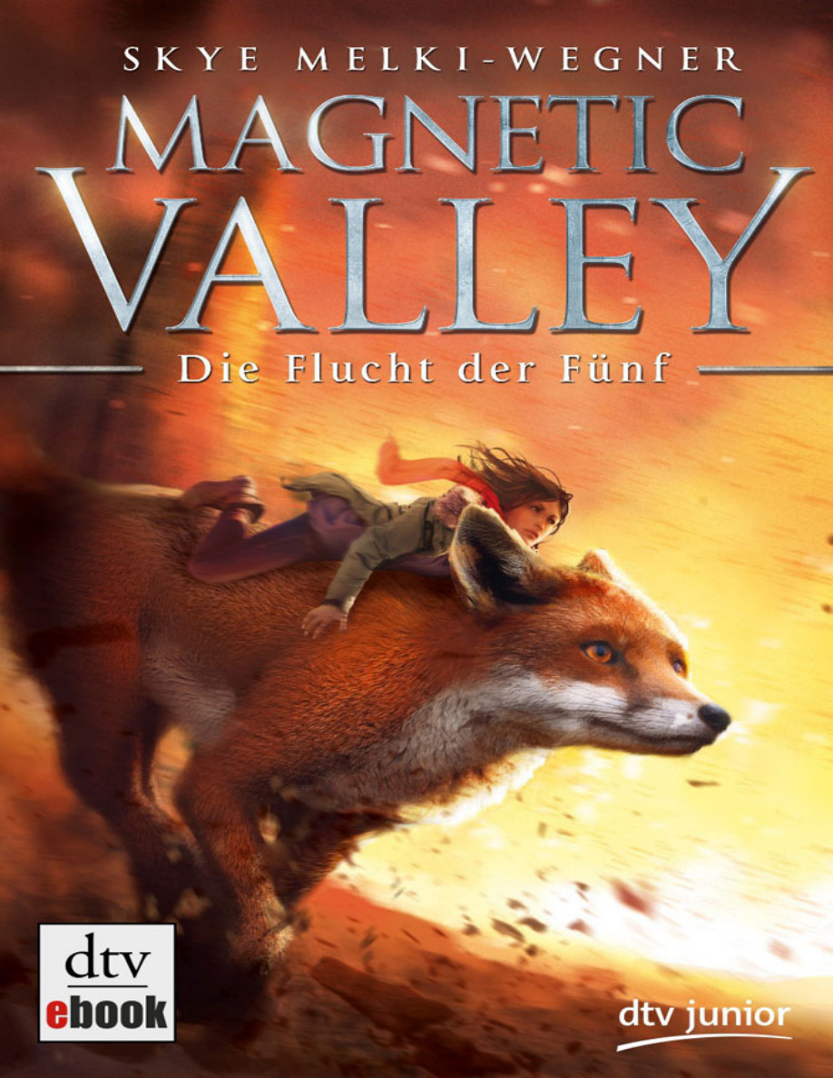 Die Flucht der Fünf PDF Download