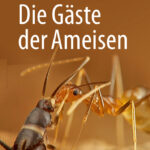 Die Gaste der Ameisen Wie Myrmecophile mit ihren Wirten interagieren German Edition Bert Holldobler Kitap Kapağı