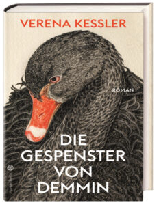 Die Gespenster von Demmin German Edition Verena Kessler Kitap Kapağı