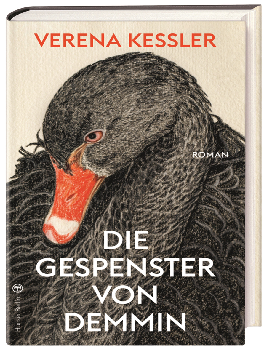 Die Gespenster von Demmin PDF Download