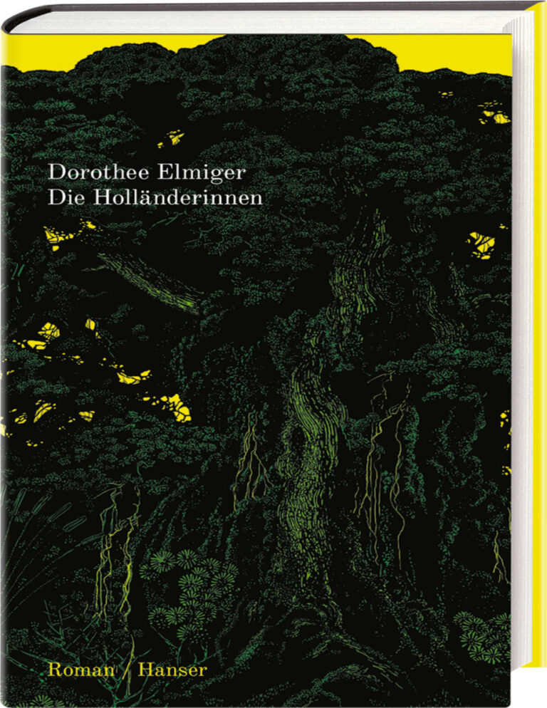 Die Hollanderinnen German Edition Dorothee Elmiger Kitap Kapağı