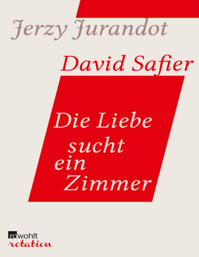 Die Liebe sucht ein Zimmer German Edition David Safier Kitap Kapağı