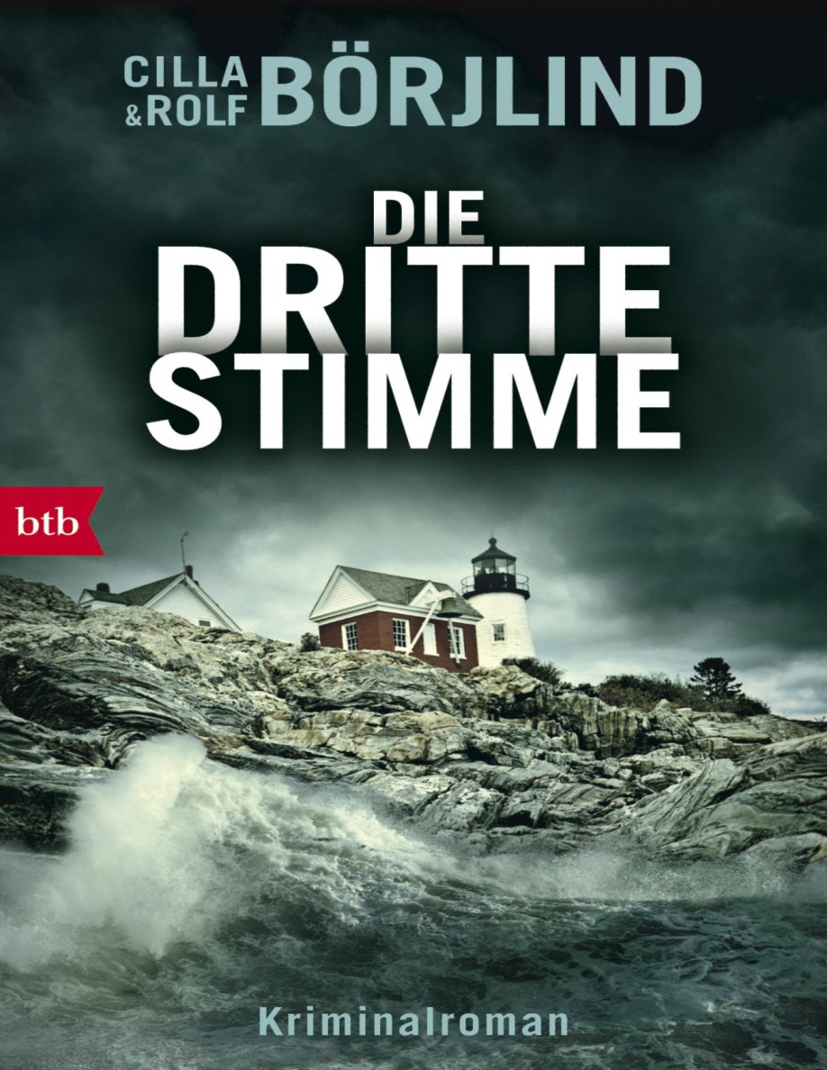 Die dritte Stimme PDF Download