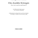 Die dunkle Konigin German Edition George RR Martin Kitap Kapağı