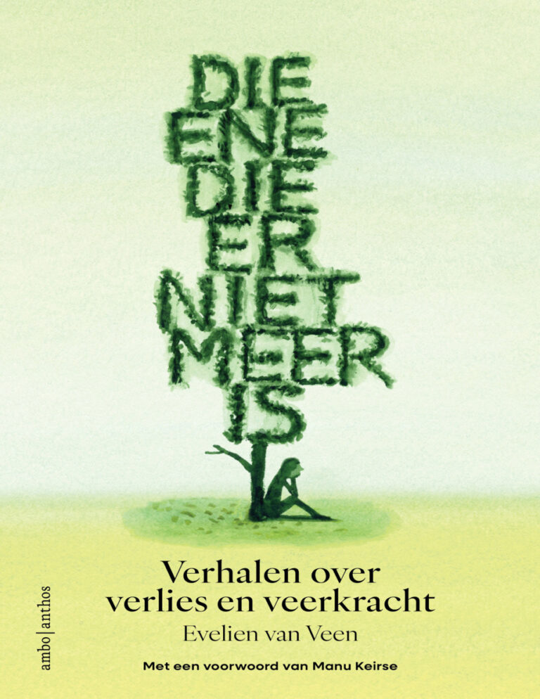 Die ene die er niet meer is Dutch Edition Evelien van Veen Kitap Kapağı