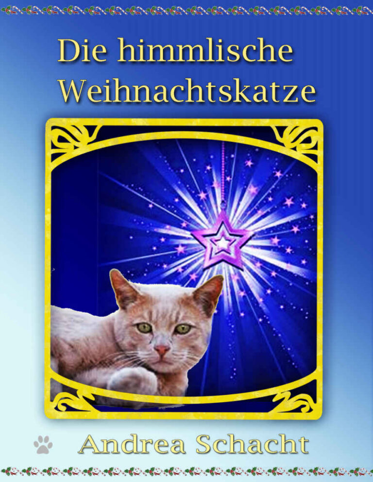 Die himmlische Weihnachtskatze Andrea Schacht Kitap Kapağı