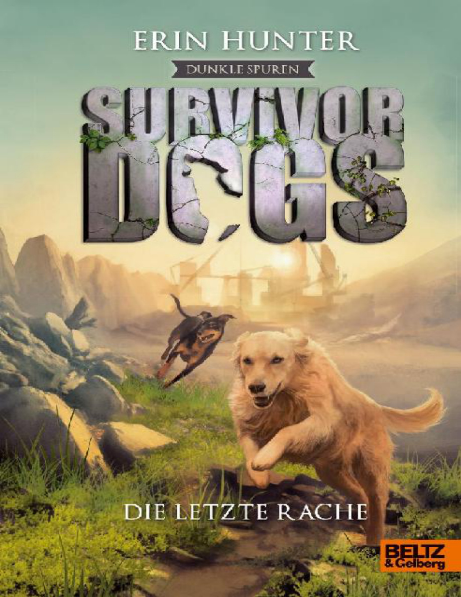 Die letzte Rache PDF Download