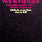 Die zerrissene Welt des Sozialen Sozialphilosophische Aufsatze German Edition Axel Honneth Kitap Kapağı
