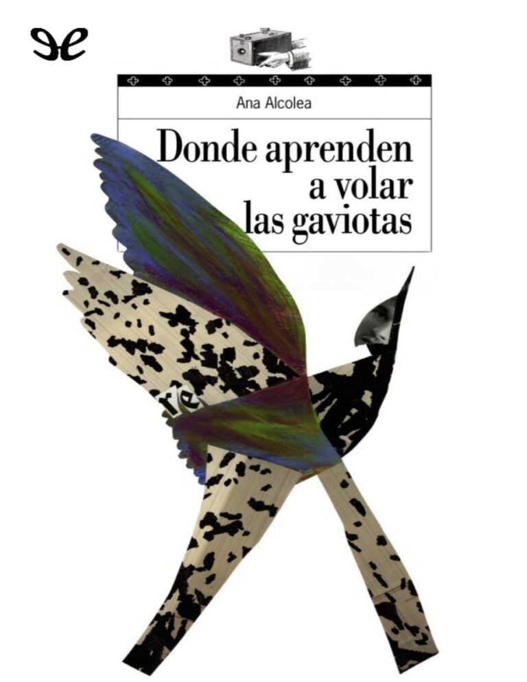 Donde aprenden a volar las gaviotas Spanish Edition Ana Alcolea Kitap Kapağı