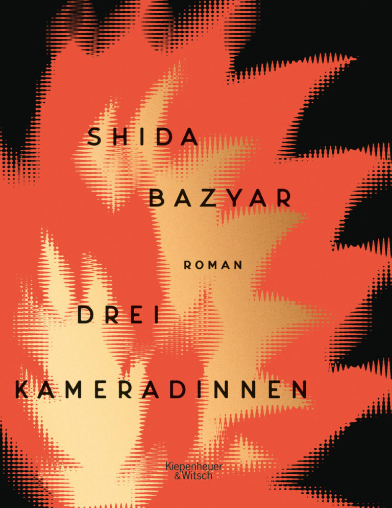 Drei Kameradinnen German Edition Shida Bazyar Kitap Kapağı
