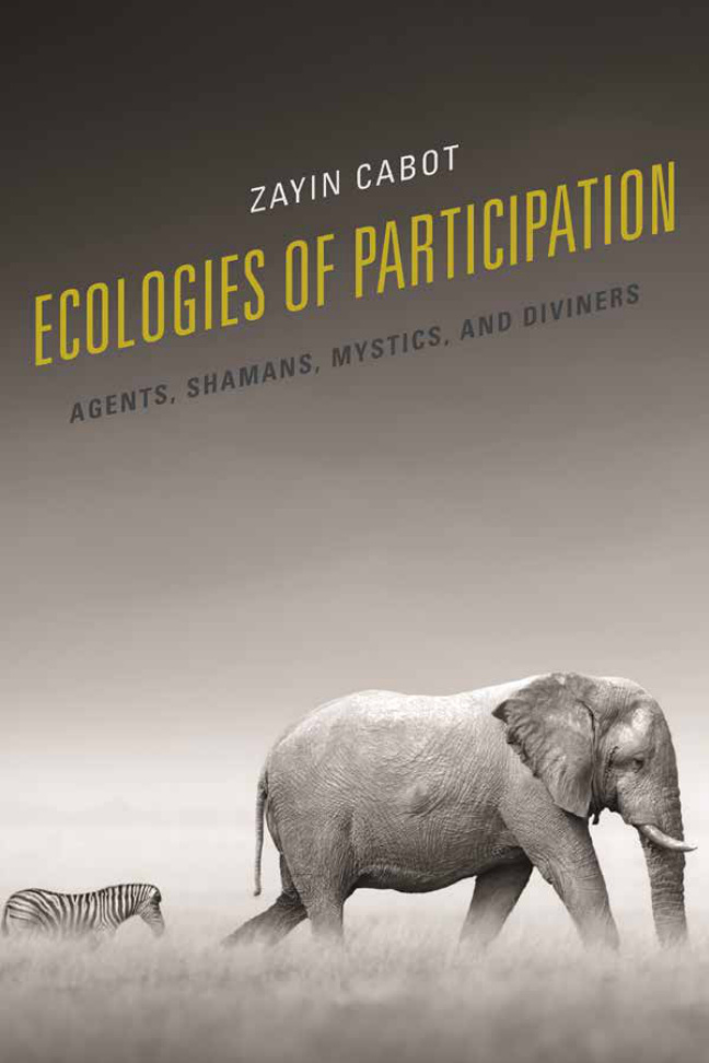 Ecologies of Participation Zayin Cabot Kitap Kapağı