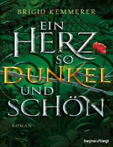 Ein Herz so dunkel und schon German Edition Brigid Kemmerer Kitap Kapağı