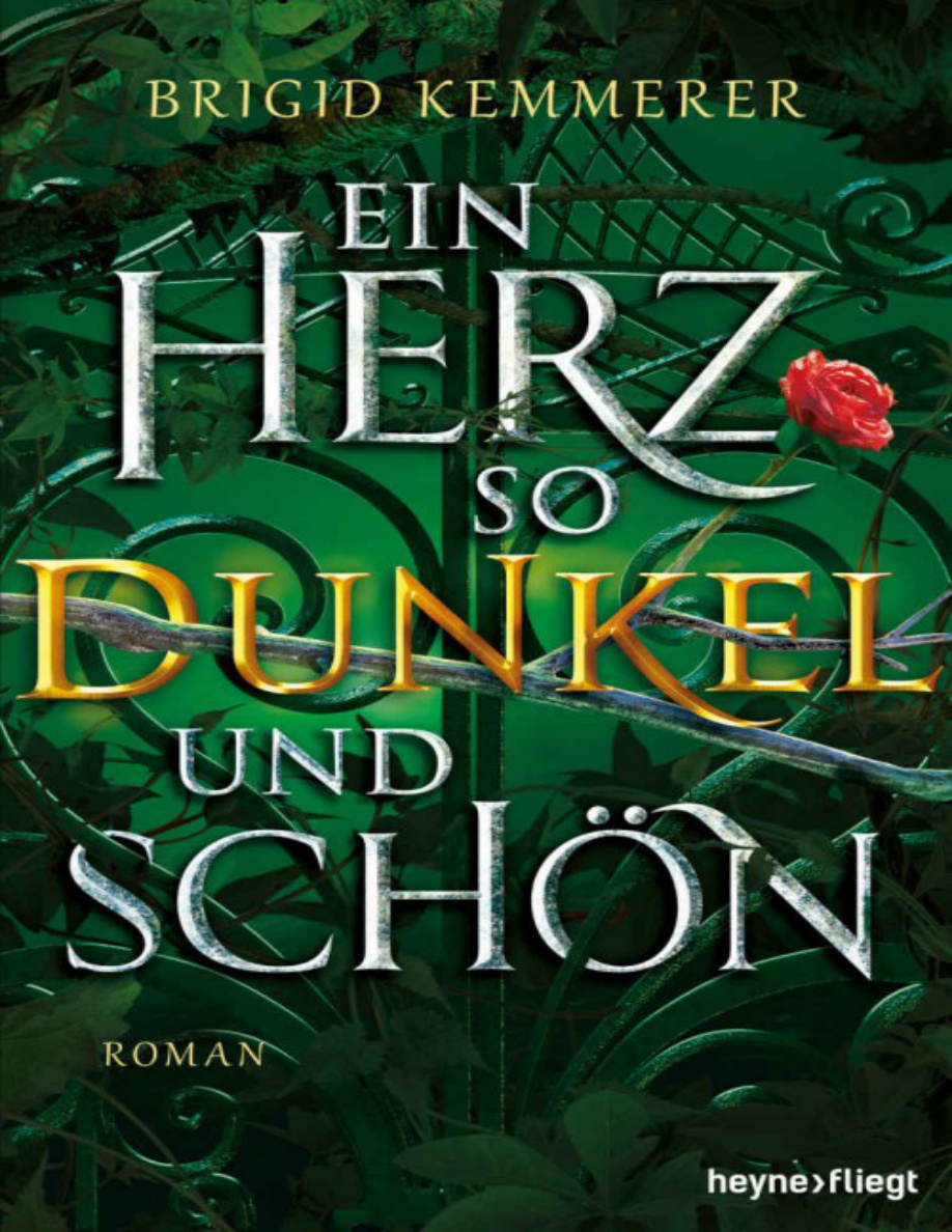 Ein Herz so dunkel und schön PDF Download